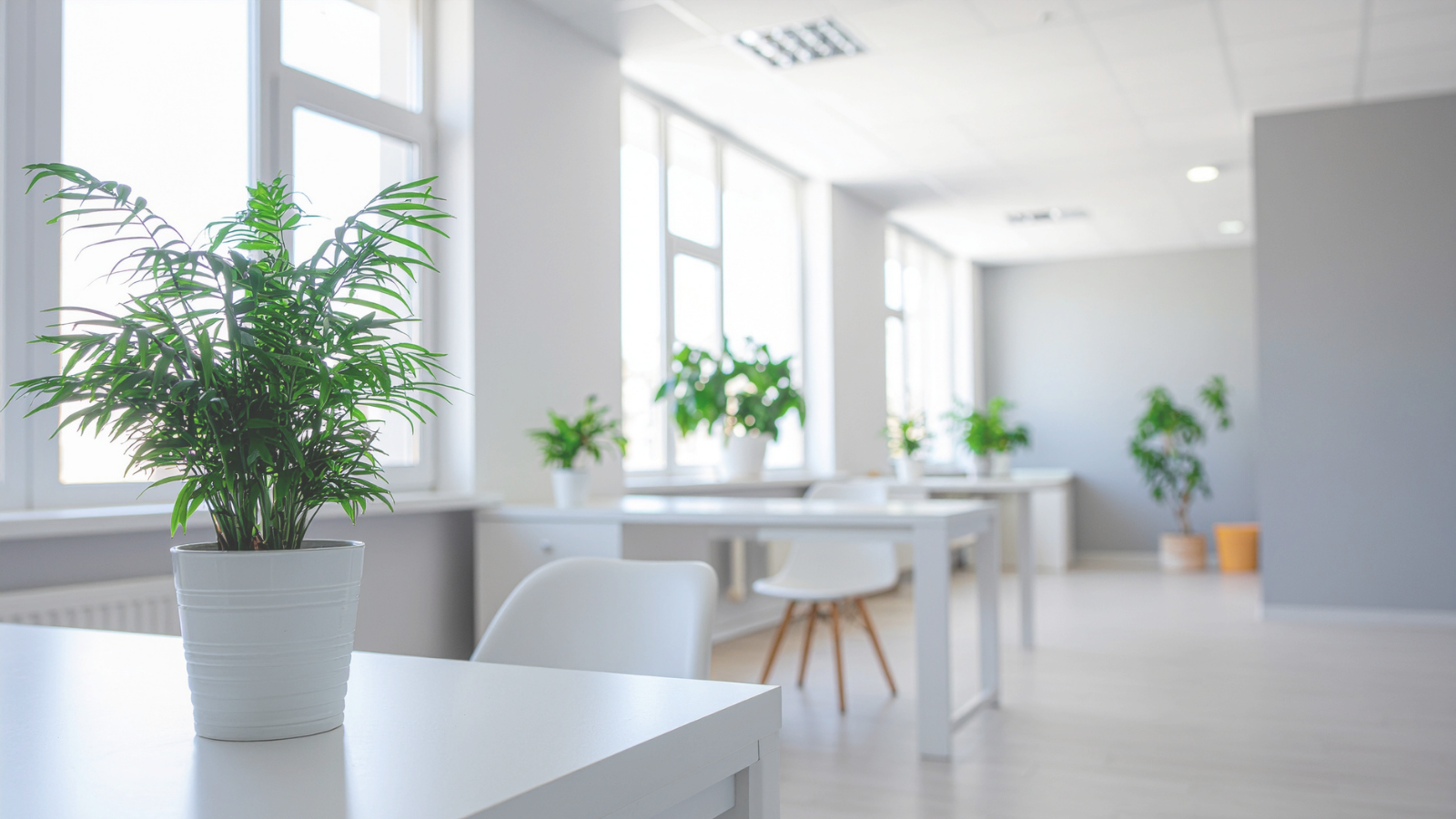 Commercial clean preparing an office workspace for the day